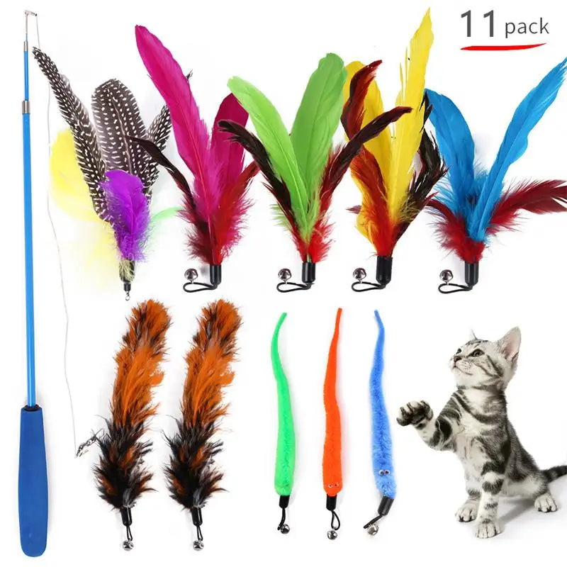 A cat looking at the 11 feather toy st