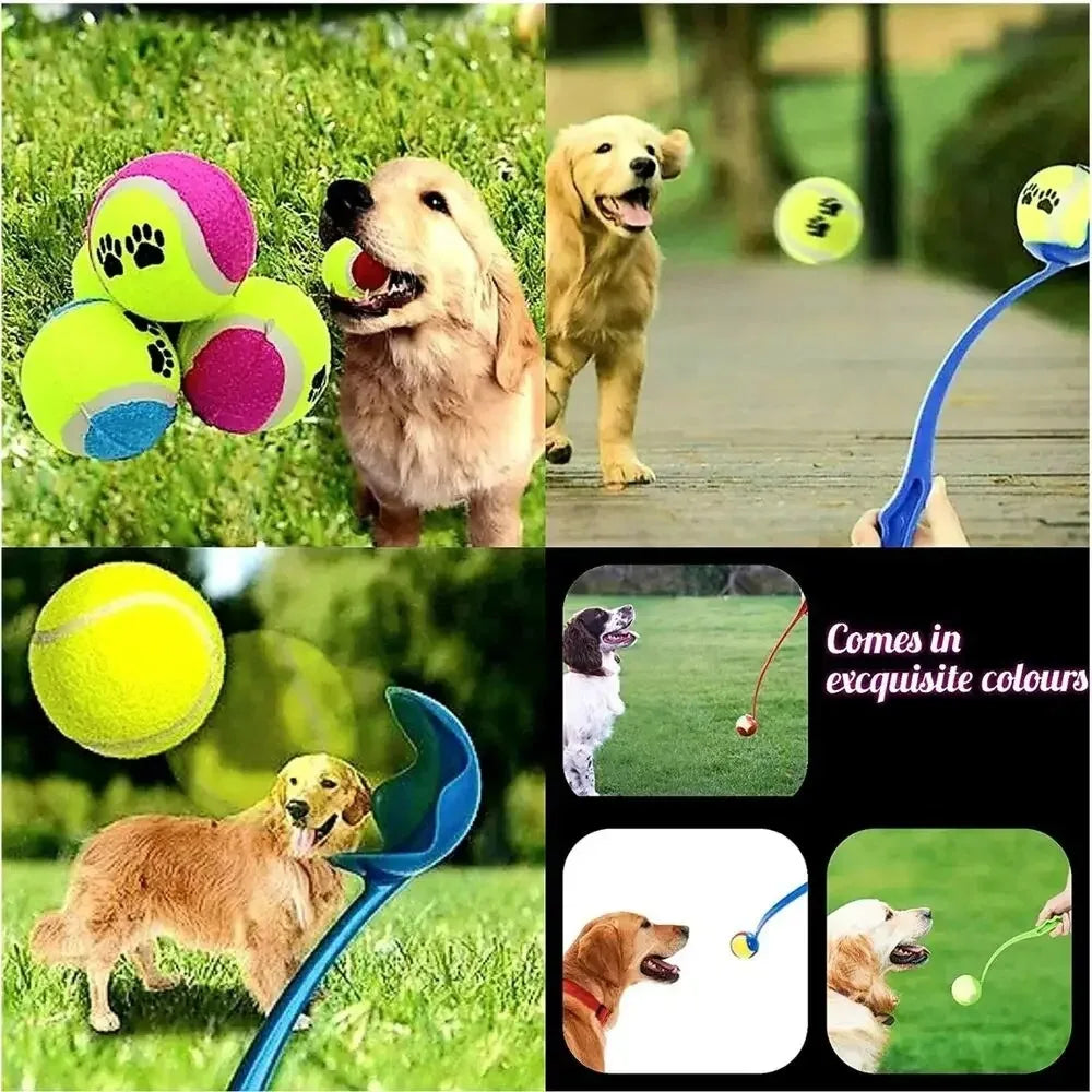Dog Ball Throwing Stick - Pookyy