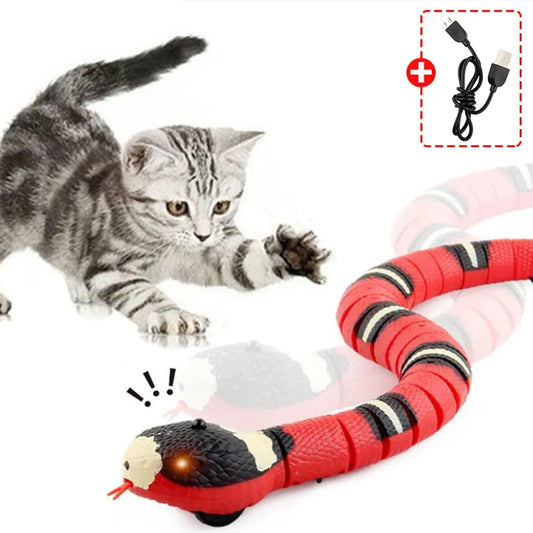 Smart Sensing Eletronic Snake Cat Teaser - Pookyy