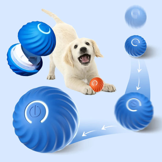 Interactive Moving Ball Smart Dog Toy