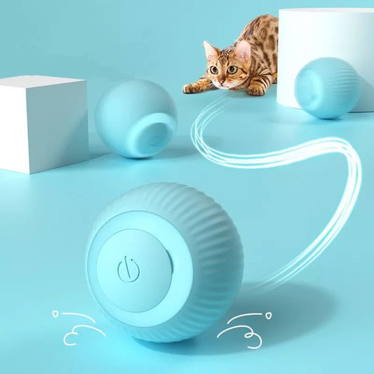 Kitten playing with the automatic rolling ball for cats