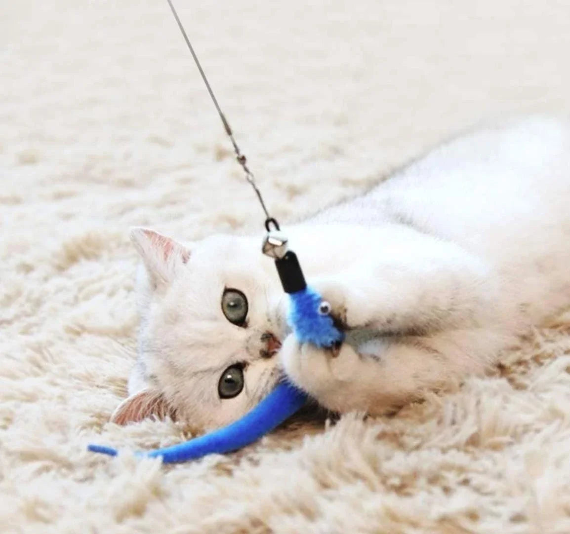 Cat biting the feather toy