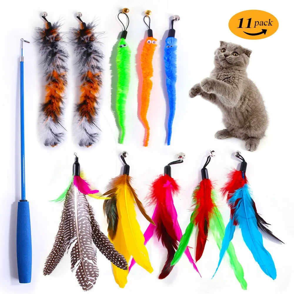 A cat with the set of eleven Feather Toy Set.
